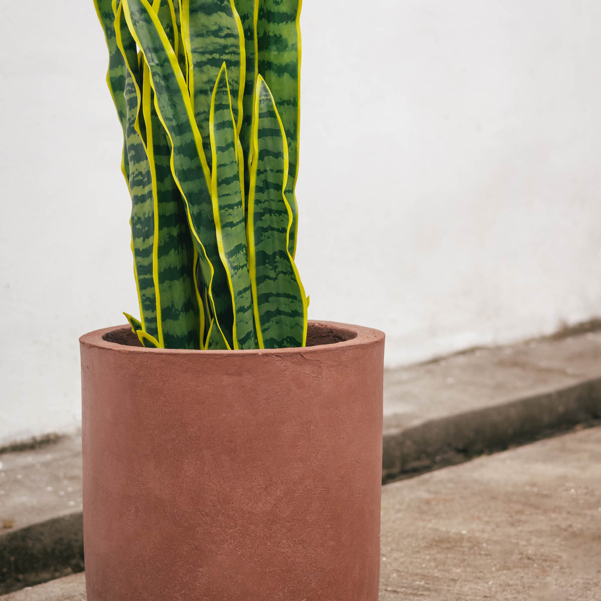 Artificial Snake Plant – Casa Mona Decor