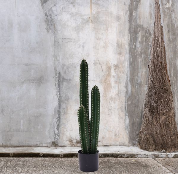Planta Artificial Cactus