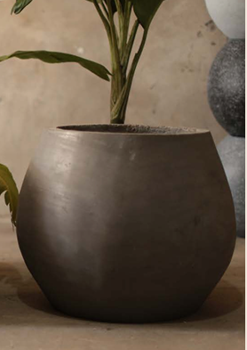 Zafiro Pot
