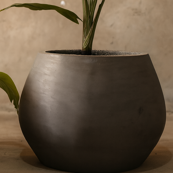 Zafiro Pot