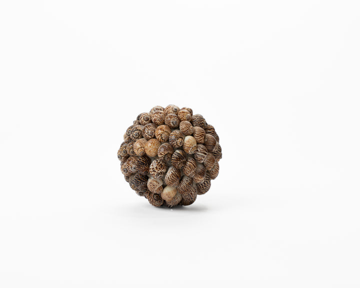 Ball Citrus XS