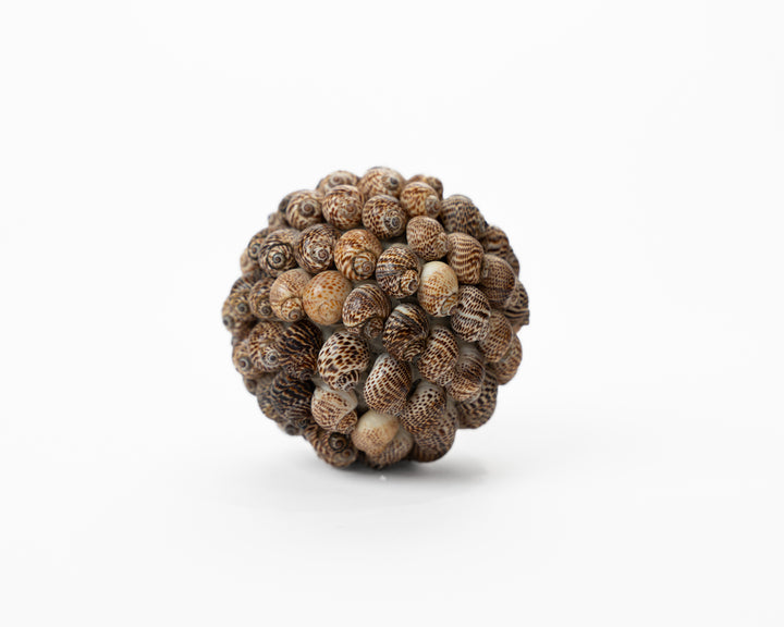 Ball Citrus XS