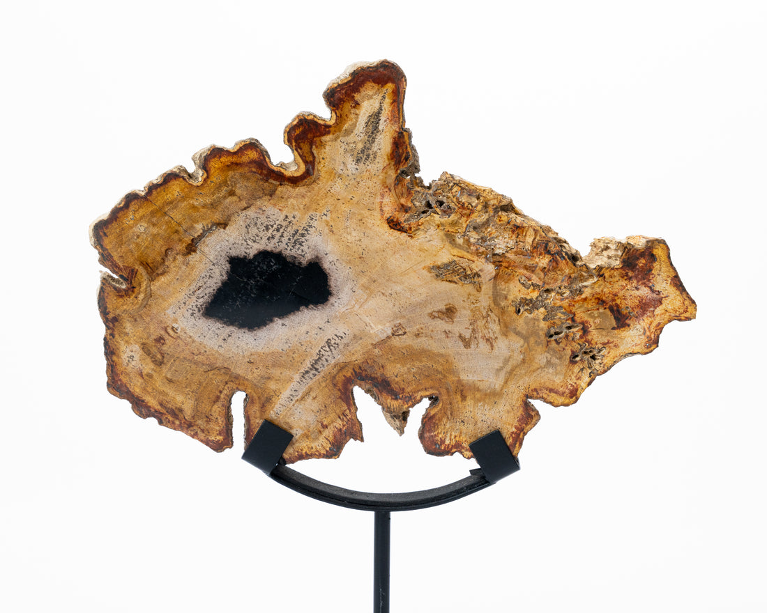 Decor Slice