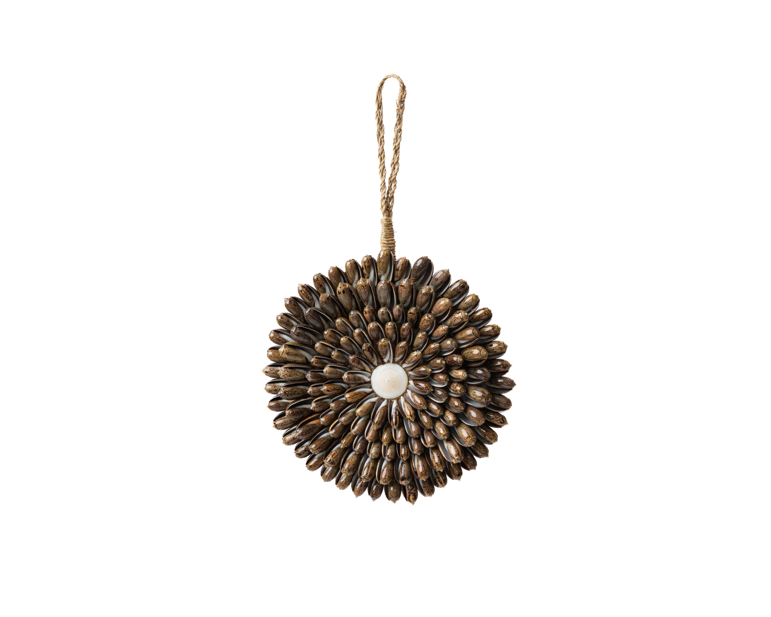 Wall Decor Siput