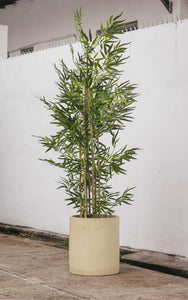 Planta Artificial Bamboo