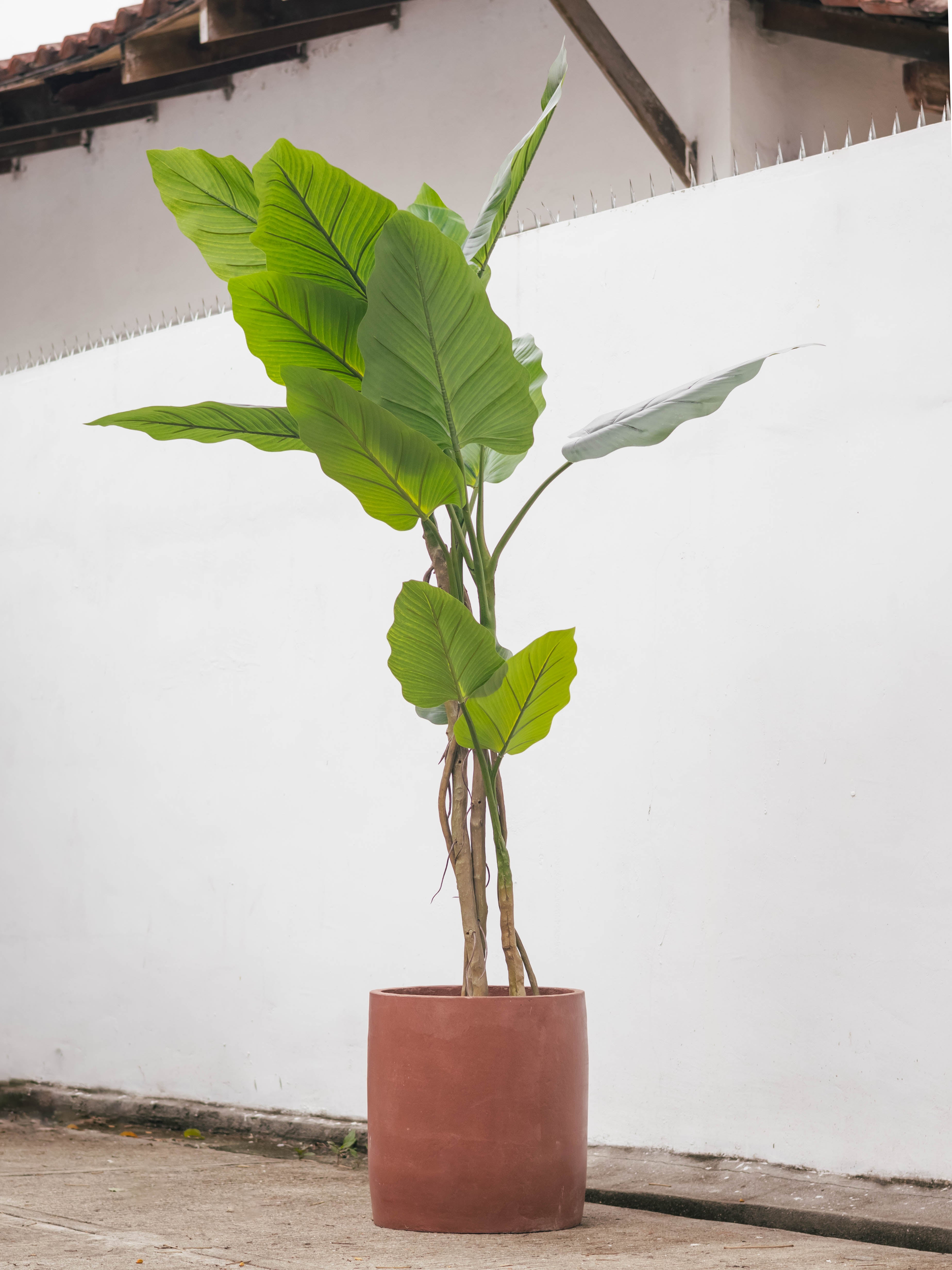 Urucu Artificial Plant