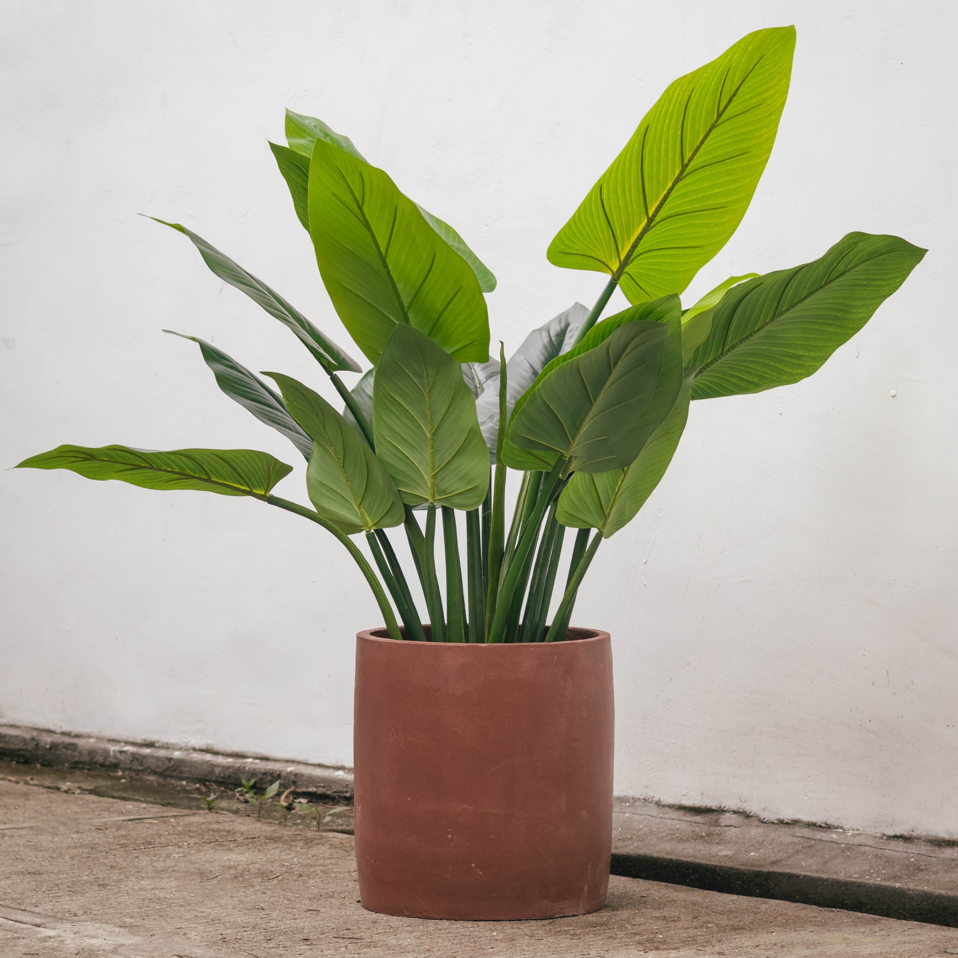 Urucu Artificial Plant