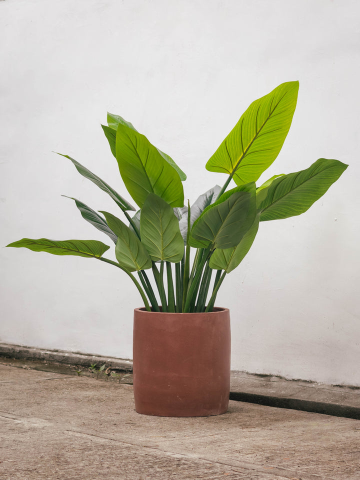 Planta Artificial Urucu