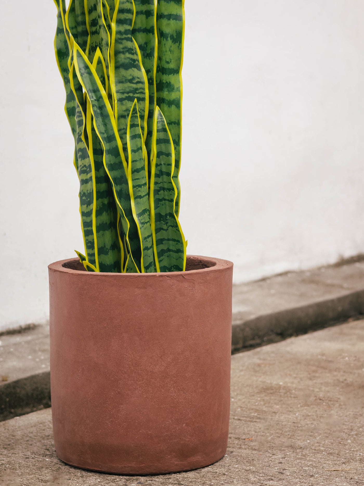 artificial snake plants mixed colors Artificial Snake Plant – Casa Mona Decor
