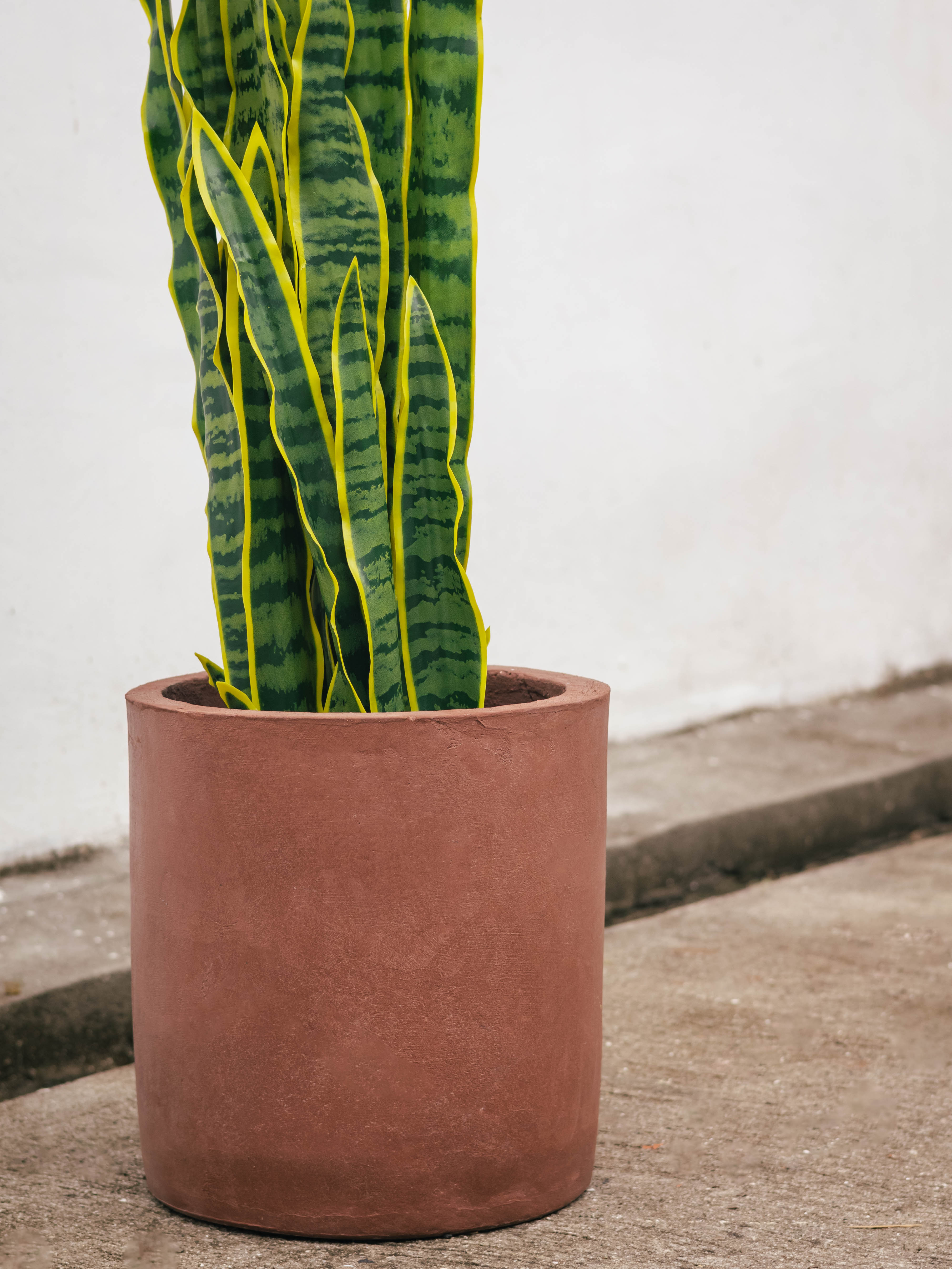 Artificial Snake Plant