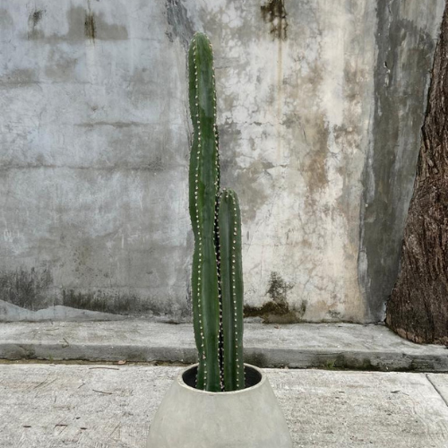 Artificial Cactus