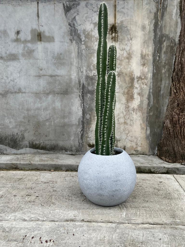 Planta Artifical Cactus