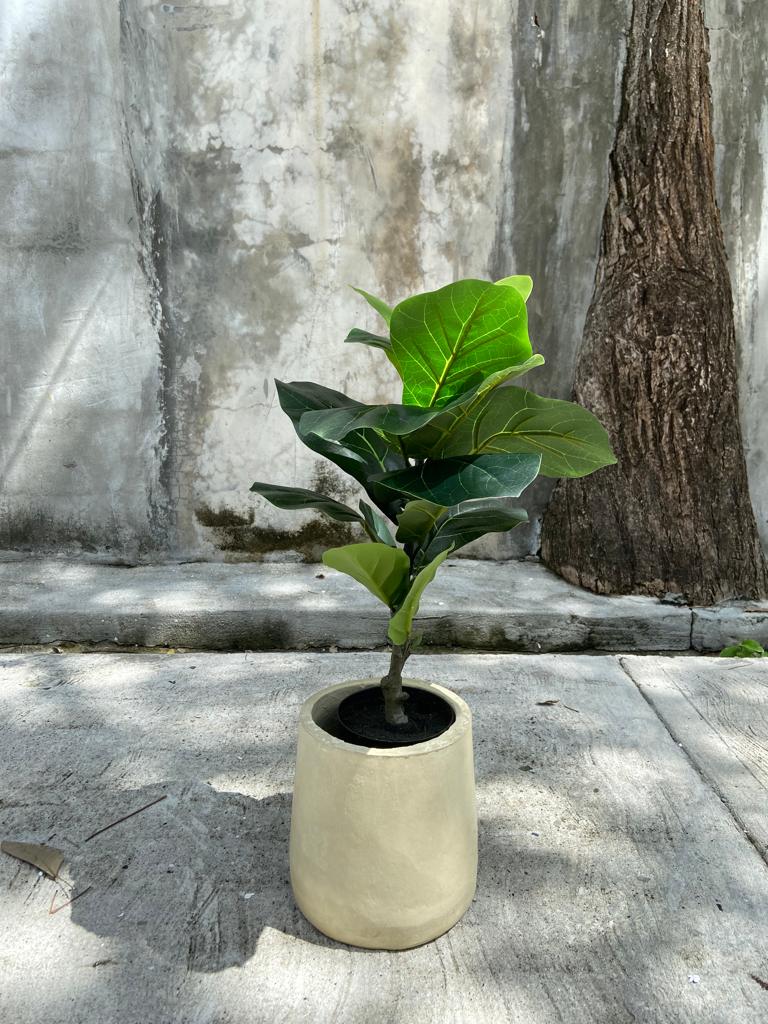 Artificial Ficus Plant