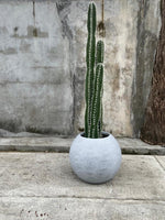 Cargar imagen en el visor de la galería, Planta Artifical Cactus
