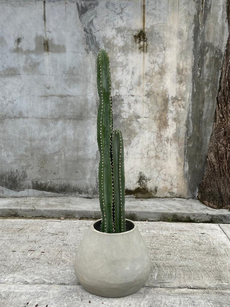 Planta Artifical Cactus