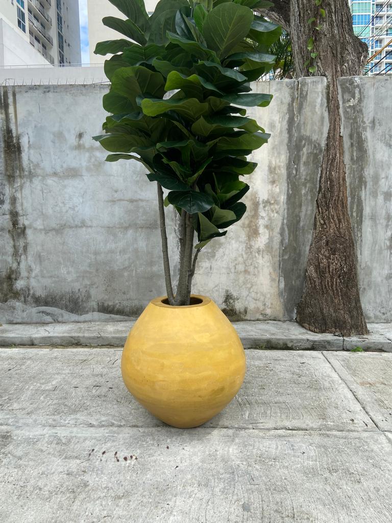 Artificial Ficus Plant
