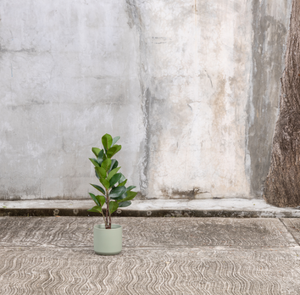 Planta Artificial Magnolia