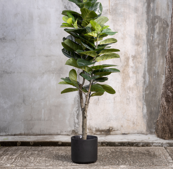 Artificial Ficus Plant