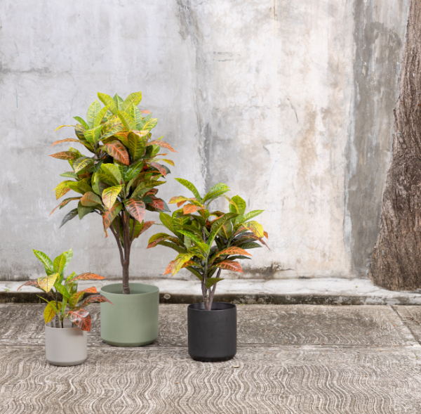 Artificial Croton Plant