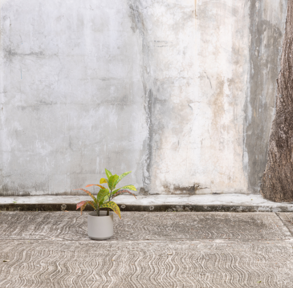 Artificial Croton Plant