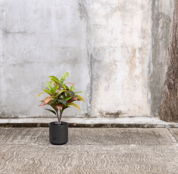 Artificial Croton Plant