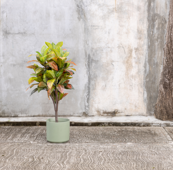 Artificial Croton Plant