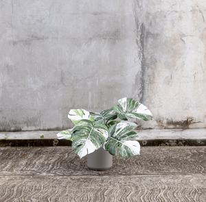 Planta Artificial Monstera White Small / 60cm