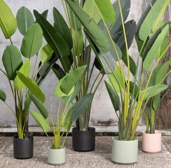 Planta Artificial ZURUA