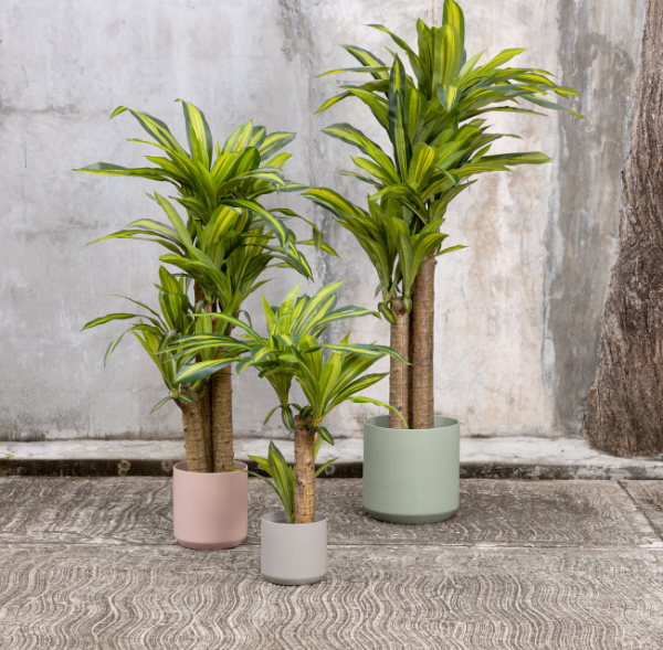 Planta Artificial Tronco del Brasil