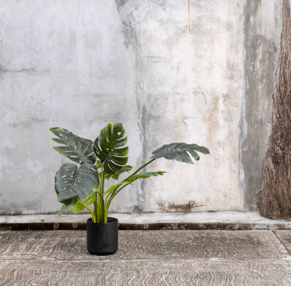 Planta Artificial Monstera