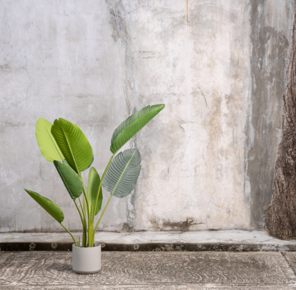 Planta Artificial ZURUA