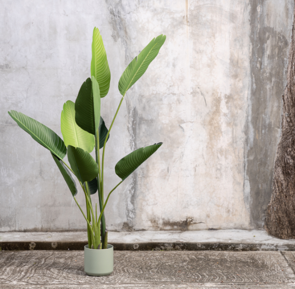Planta Artificial ZURUA