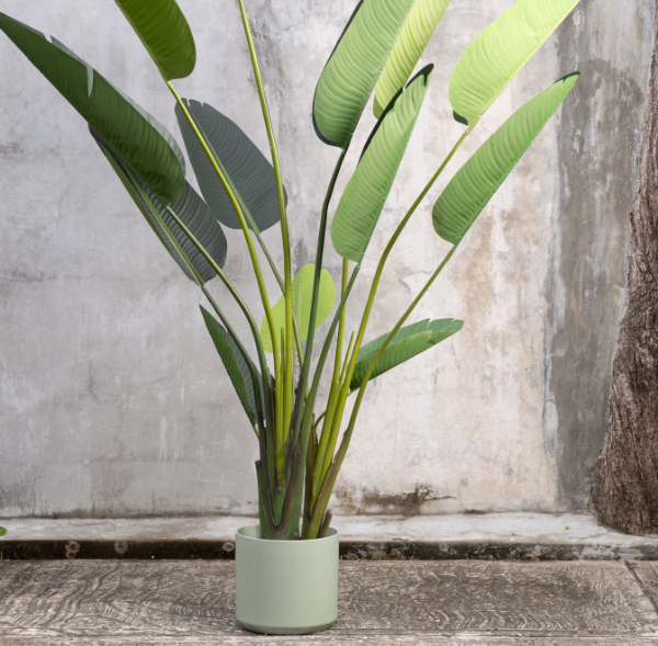 Artificial ZURUA Plant