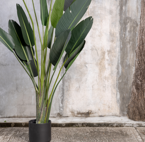 Artificial ZURUA Plant