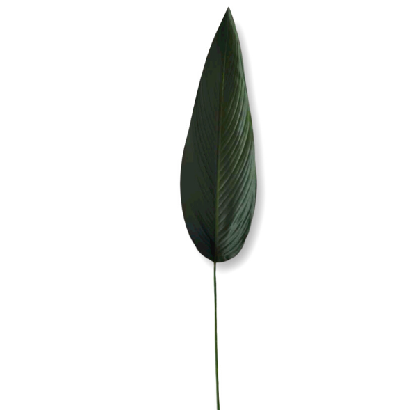 HOJA ARTIFICIAL ELIPTIC